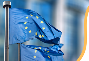 Webinaire - Transition écologique juste et économie sociale et solidaire. Image du drapeau européen et des logos des organisateurs.